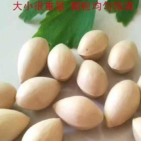 新鲜生白果银杏果2斤包邮（保质保量）鲜白果仁银杏带壳无漂白