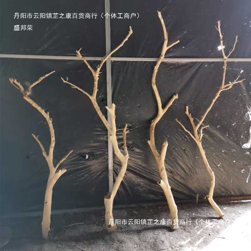 干树枝原木杈艺术干枝枯枝枯木树干鸟架造型壁挂衣架吊顶树枝装严