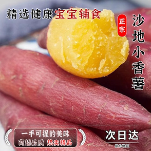 红薯农家香甜粉糯现挖小番薯农家小香板栗番薯天目薯现发新鲜正宗