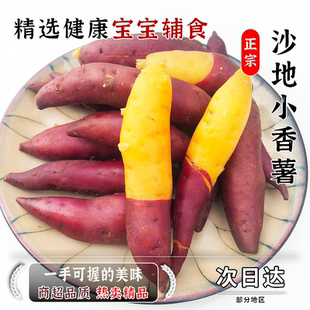 农家香现挖小番薯番小香板栗薯农家甜粉糯红薯天目薯现发新鲜正宗