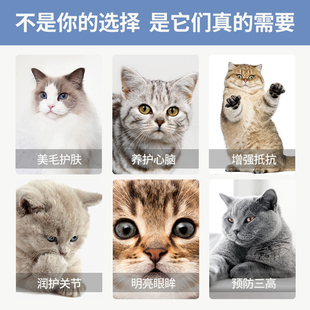 朗博特鱼油狗狗专用猫咪防掉毛金毛卵磷脂美毛犬用宠物猫用鱼肝油