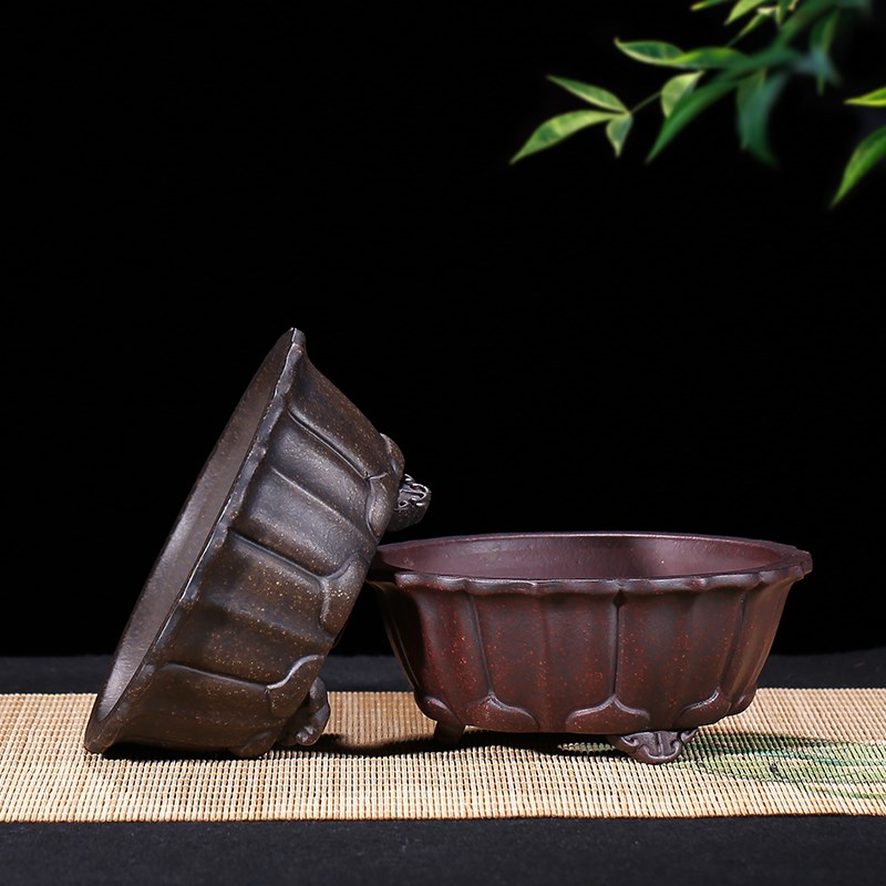 宜兴紫砂花盆多肉菖蒲盆景花盆松柏榕树块根榕树黄杨小品盆栽花盆