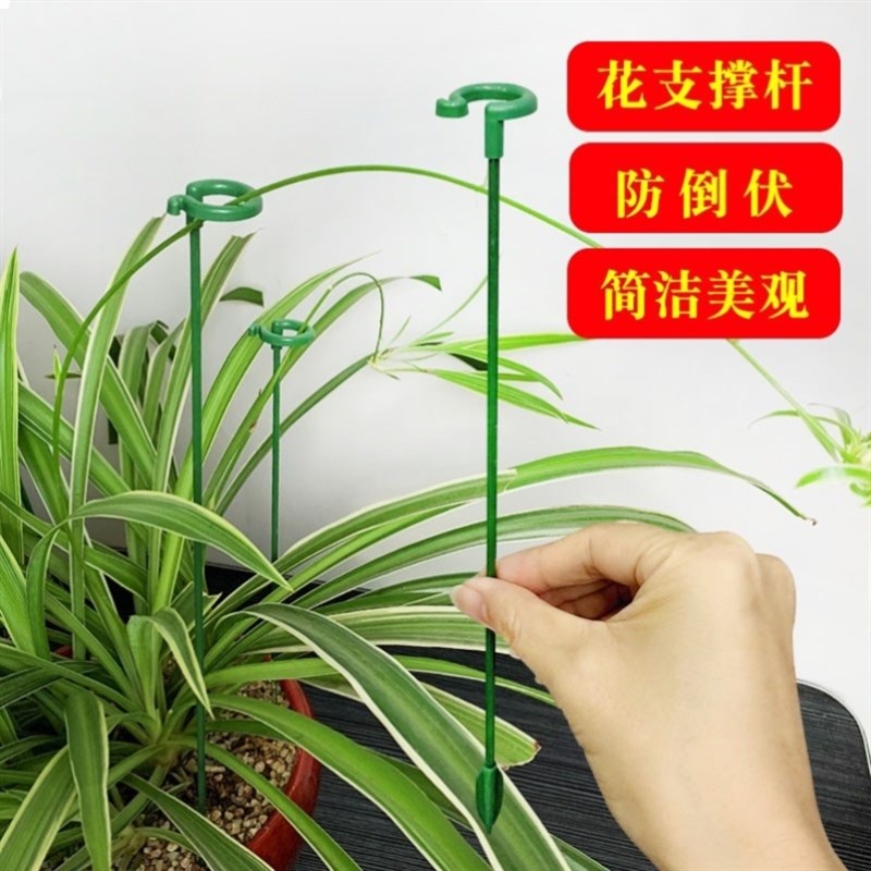 植物固定防倒伏花架子园艺支撑单杆室外花园月季爬藤种菜捆扎支架