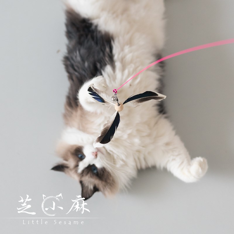芝小麻旋转跳跃风车羽毛逗猫棒长杆钢丝可替换头竹蜻蜓解闷猫玩具