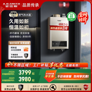 AO史密斯精钢燃气热水器家用小体积恒温13/16升EC3