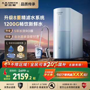 2500BM1 AO史密斯佳尼特厨下家用直饮净水器2000 政府补贴20%