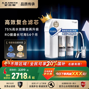 AO史密斯家用厨下升级直饮反渗透R1600HWi E净水器