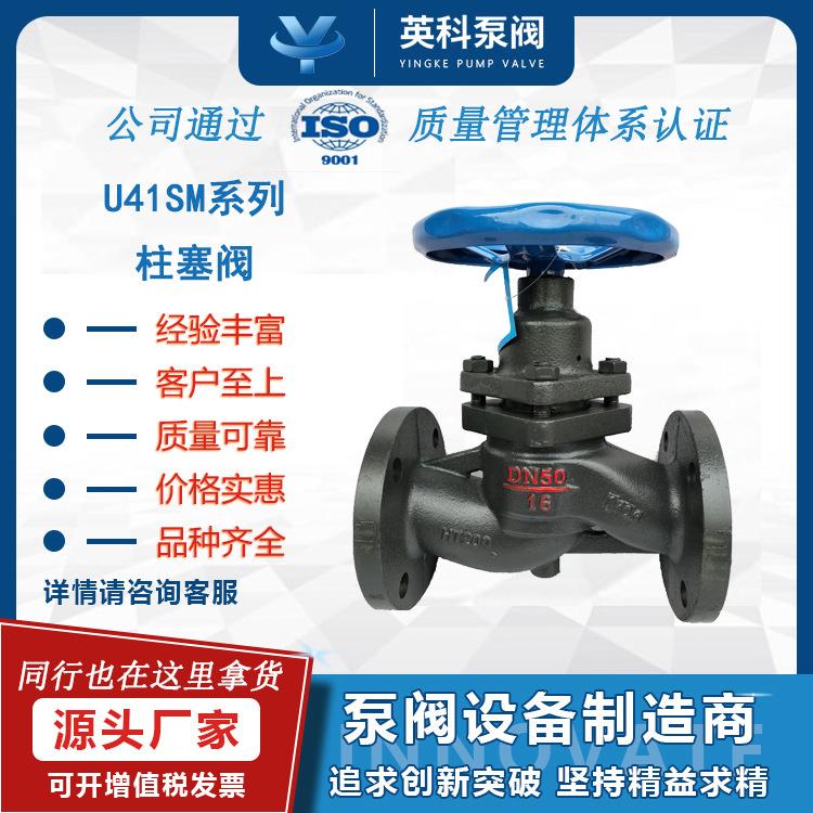 柱塞阀手动铸钢铸铁HT200法兰锅炉蒸汽阀门法兰柱塞阀U41SM-C