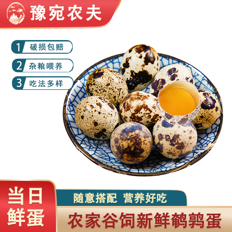 豫宛农夫50枚新鲜鹌鹑蛋杂粮喂养现捡现发营养丰富口感细腻