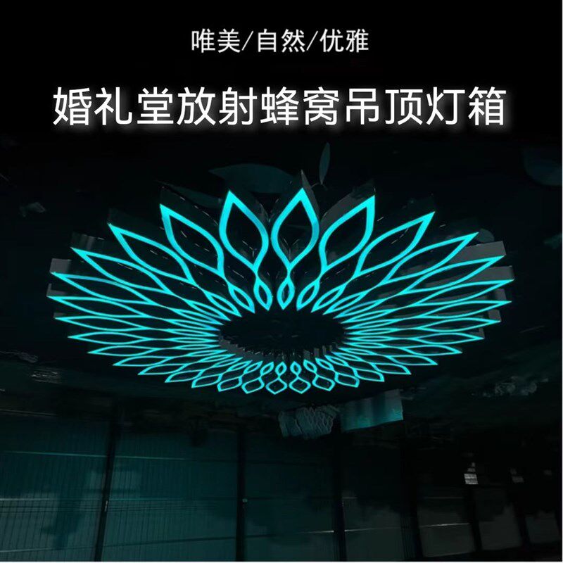 新款婚庆道具大型放射莲花发光吊顶灯箱婚礼堂宴会厅顶部铁艺装饰