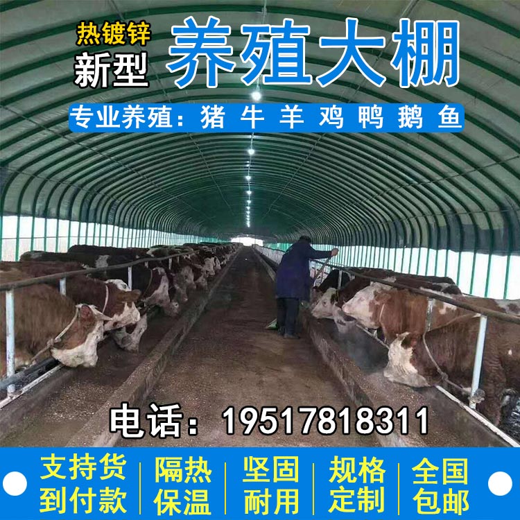 养殖大棚专用钢管骨架定制热镀锌椭圆管牛羊棚猪舍鹅兔养鸡场种植