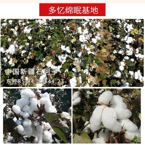 新疆纯棉花棉絮棉被垫褥子铺床被子床垫棉胎垫絮单人双人棉花被芯