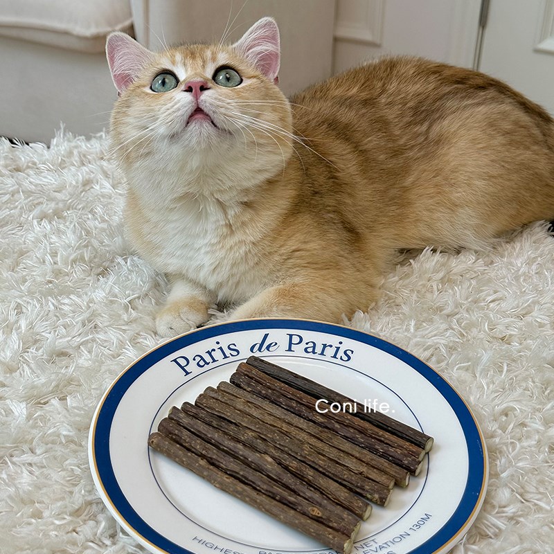 Coni life木天蓼棒猫咪玩具自嗨植物加粗磨牙逗猫棒洁齿棒猫零食