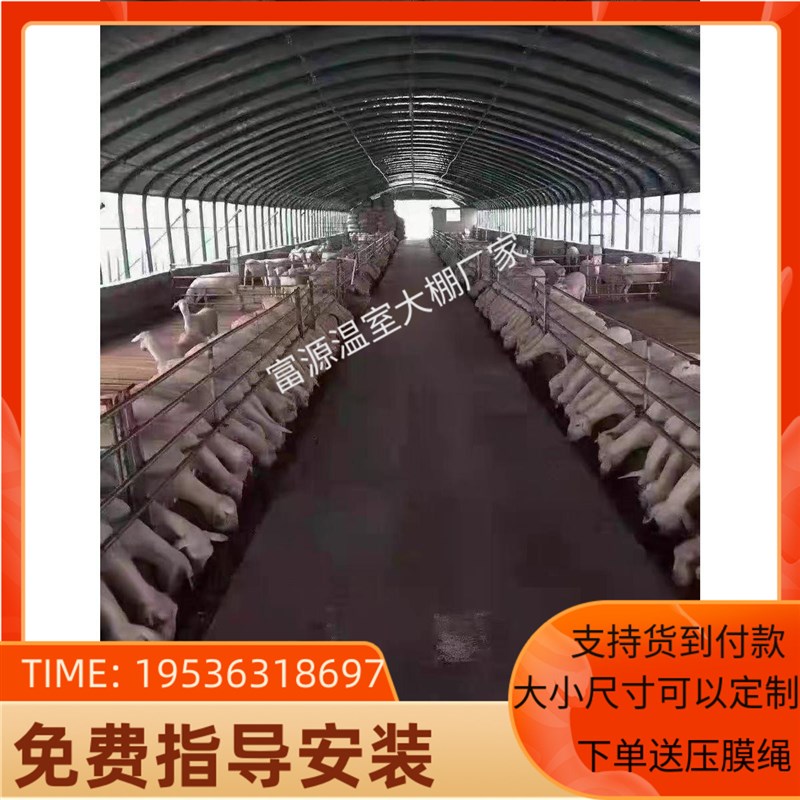 温室大棚骨架钢管养殖种植家用猪牛羊舍连体棚椭圆管圆管保温全套