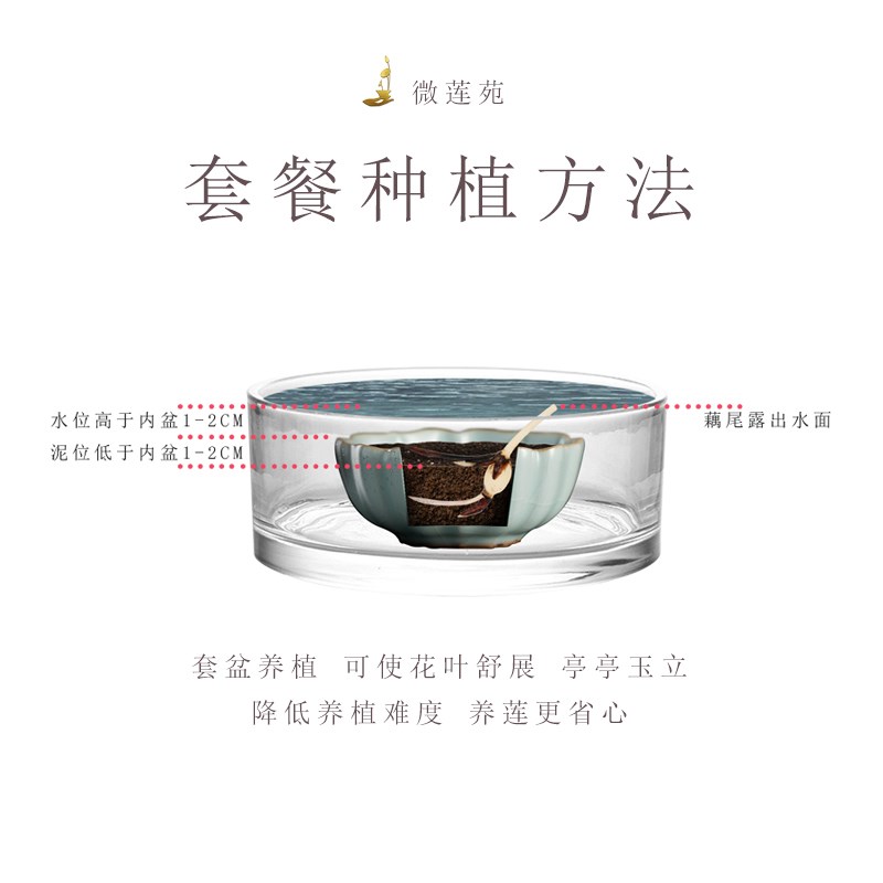 养护套餐《微莲苑 姜永慧》微型碗莲睡莲种植水培钵无孔中式花盆
