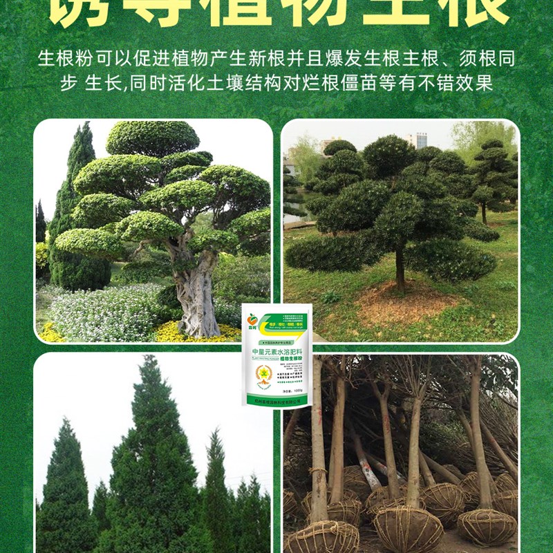树木移栽生根剂大树生根液植物通用生根粉营养液果树生根壮苗剂