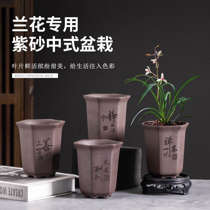 中式君子兰紫砂花盆室内办公室桌面小号六角禅意兰花盆景盆带托