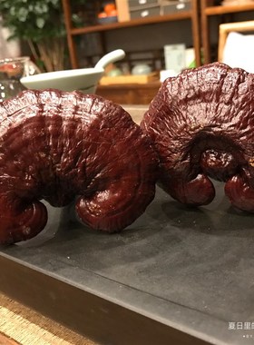 灵芝 整枝 装饰摆件 清供 禅意 灵芝 紫灵芝 上供