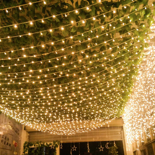 新年过年春节家用彩灯闪灯串灯满天星七彩变色星星灯装 饰闪光灯串