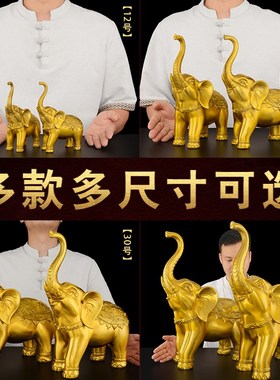黄铜大象摆件一对高级感客厅招镇鼻子朝天吸水宅门口财带底座铜象
