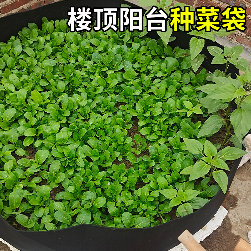 美植袋种植袋加厚植树无纺布苗袋营养钵育树苗花卉蔬菜专用袋大号