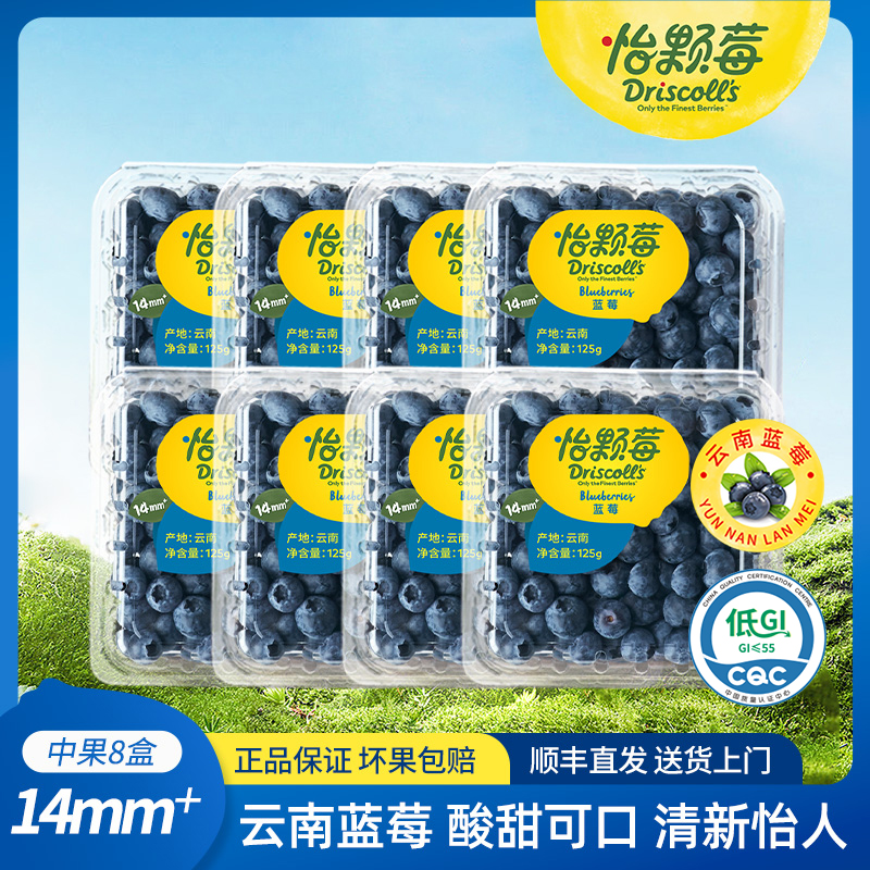 怡颗莓云南蓝莓新鲜酸甜可口