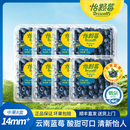 s怡颗莓 中果125g 云南蓝莓 水果 顺丰酸甜花香 新鲜应季 Driscoll
