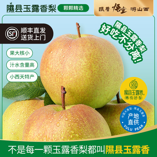 山西隰县玉露香梨品质礼盒