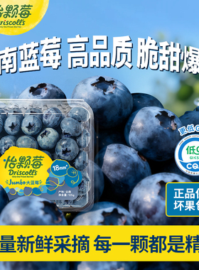 Driscoll's怡颗莓云南蓝莓 花香新鲜应季水果中大果125g酸甜可口