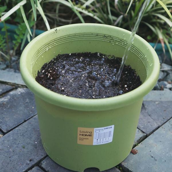 月季蔬菜营养土养花专用通用型种植土家用种花种菜有机土壤