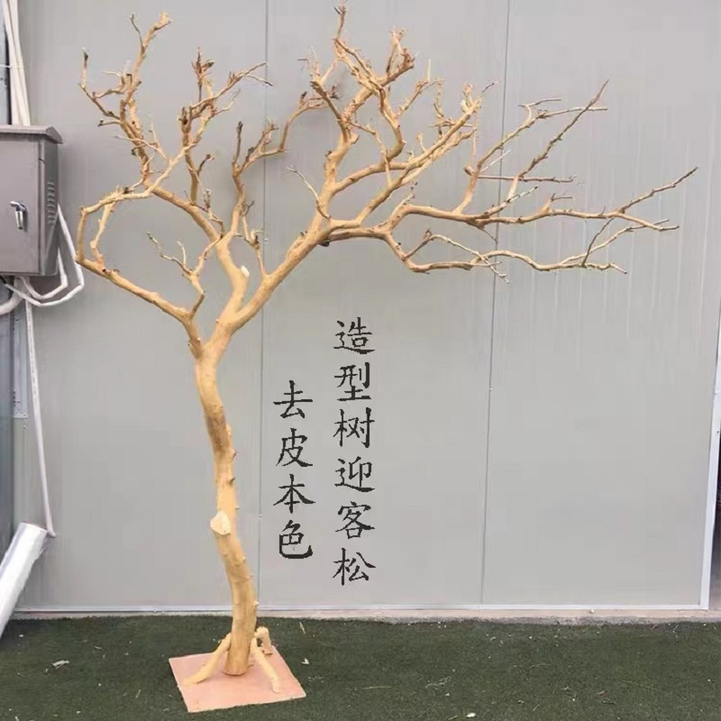 干树枝造景干枝树干许愿树枯x树室内庭院造型树枝干原木树枝装饰