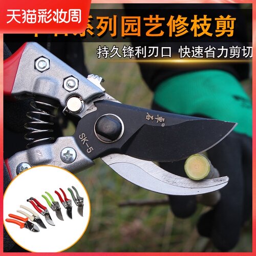 园艺剪刀修树枝果树剪花剪园林园艺工具剪刀粗枝修花高枝剪子家用