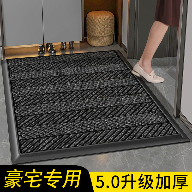高级感入户门地垫大门口地毯脚垫门垫进门家用耐脏除尘垫2023新款