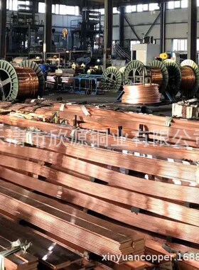 T1 T2 T3 紫铜排 680 10*100  10*120  10P*125 紫铜棒 镀锡铜