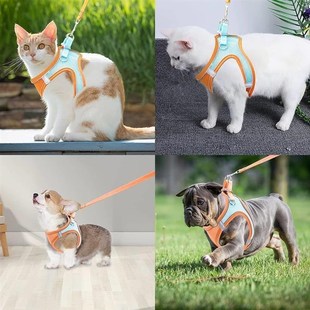 and Harness Dog Breathable Pet RefElective leash harness set