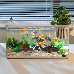 household Desktop for goldfisqh use桌面金鱼缸家用 tank