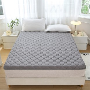 跨境水洗棉加厚磨毛透气榻榻米防滑亲肤学生寝室床垫双人床褥