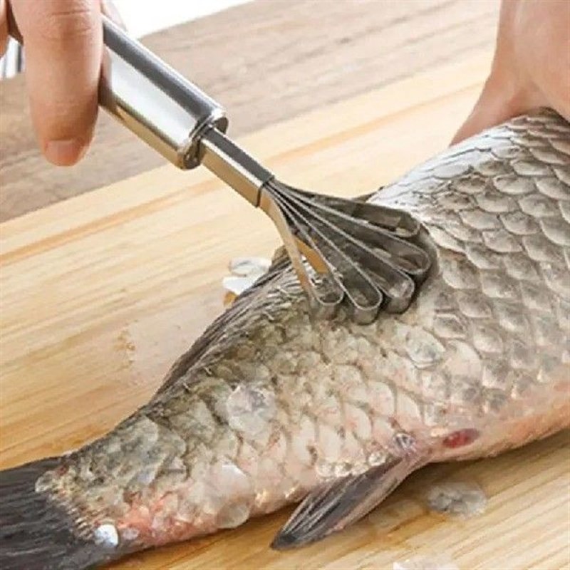 Coconut Scraper Stainless Steel ShreddeOd Coconut Remove