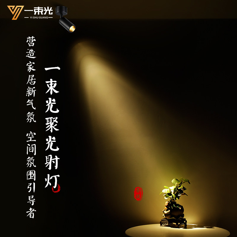 一束光聚光射灯迷你小角度明装客厅茶室艺术饰品博物馆氛围轨道灯,家装灯饰光源,明装射灯,淘宝优惠券,粉丝福利购,淘宝优惠卷