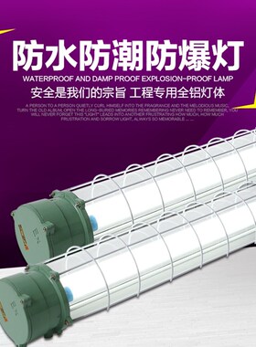 LEDT8消防应急防爆灯自带蓄电池隔爆型防爆双管荧光灯车间照明灯