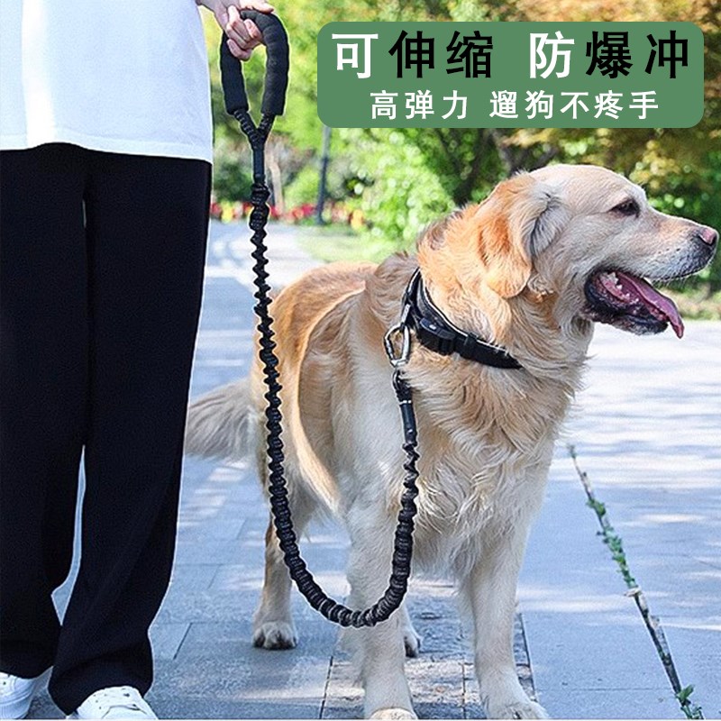 金毛狗绳c大型犬可调节伸缩防爆冲拉布拉多中型遛狗狗牵引绳子项