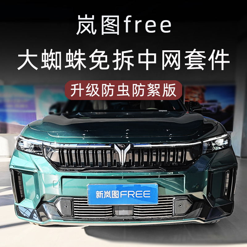 全新岚图free前脸中网外观改装件专用防虫网装饰条汽车用品配件