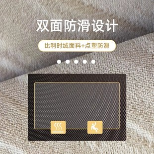 入户门地垫轻奢玄关门口进门门垫家用防滑脚垫地毯可裁剪垫子
