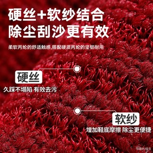 耐脏入户地垫家用耐脏加厚门垫门口进门地毯蹭土玄关脚垫 2025新款