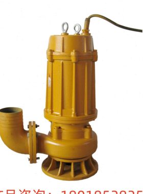 上海沪一 AS10-2CB系切割式潜水泵 AS型撕裂式潜水排污泵