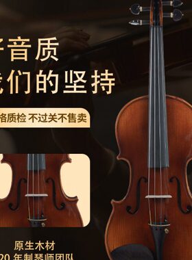 圣维斯sw003纯手工实木小提琴初学者儿童10级成人演奏入门专业级