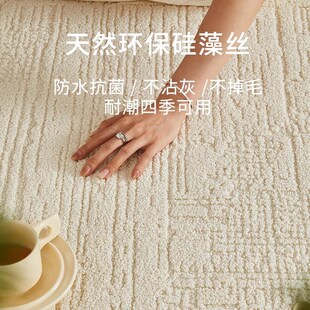 真防水防污地毯轻奢高级感奶油风客厅卧室免洗可擦纯色简约白月光