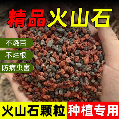 鱼缸过滤培养硝化菌垫底火山岩