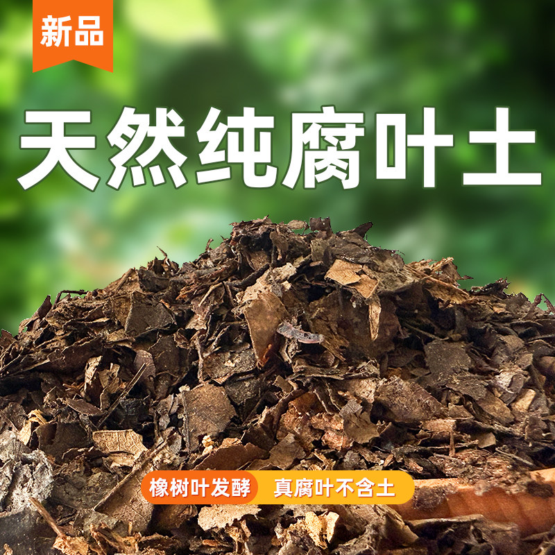 纯腐叶，不掺土天然腐殖质