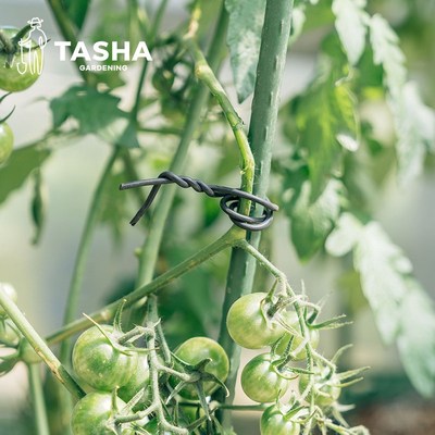 塔莎的花园 扎线绑枝条捆扎线铁丝月季植物固定器园艺绑扎带